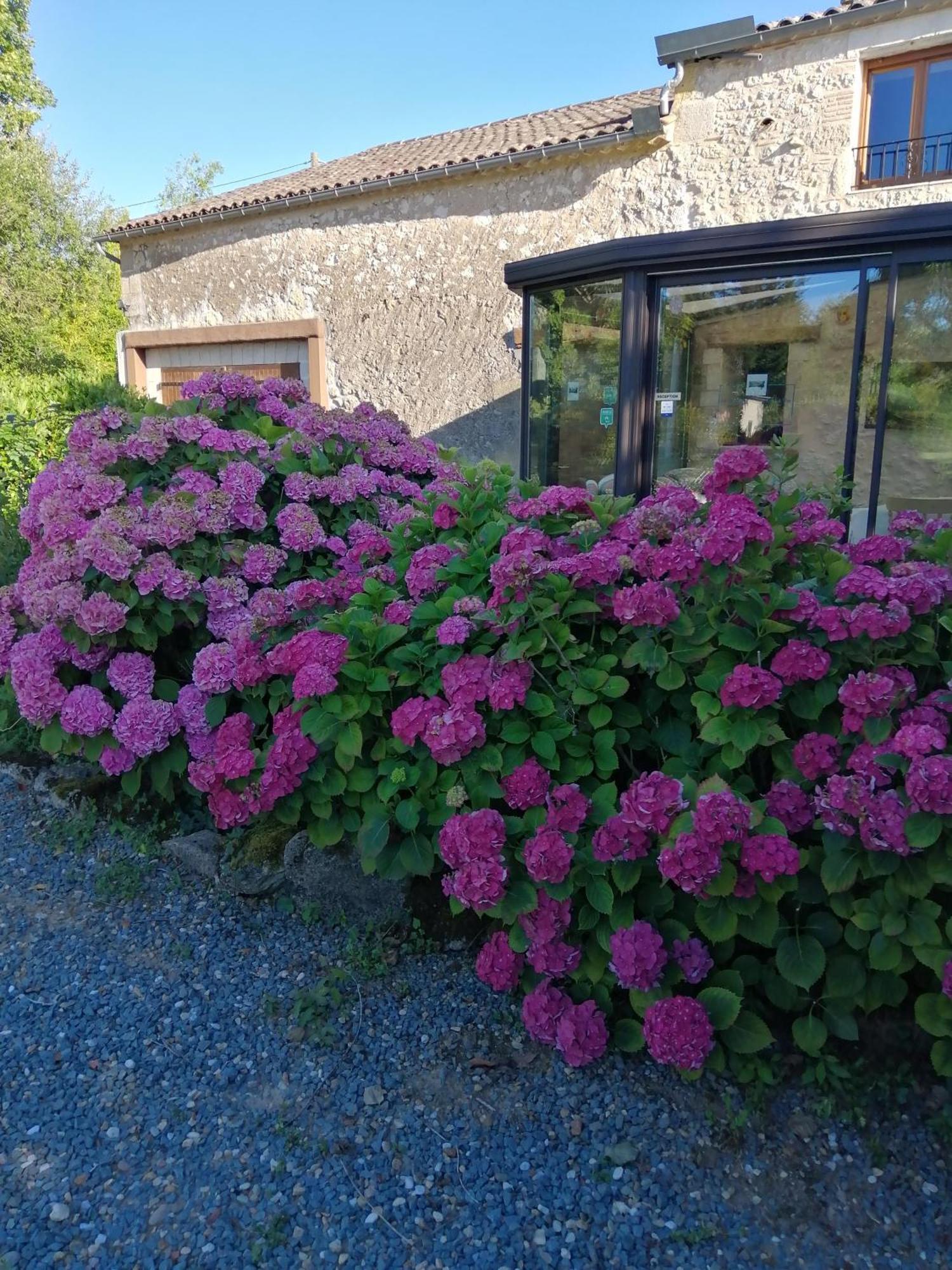 Bed and Breakfast Le Grand Chemin De La Vie Montcaret Exterior foto