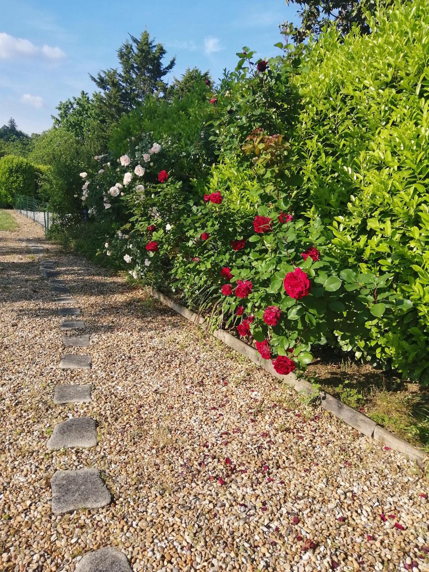 Bed and Breakfast Le Grand Chemin De La Vie Montcaret Exterior foto